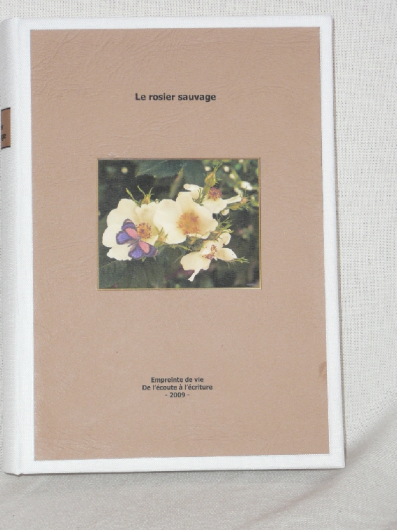 le rosier sauvage